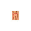 Lovlea String - Rouge